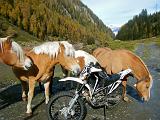 Motoalpinismo PASSO DORDONA - 059